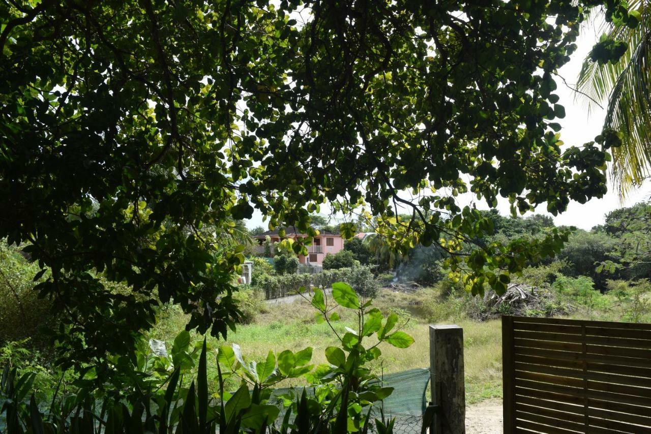 Villa Bungalows Les Vagues Abondes Sainte-Anne  Exterior foto