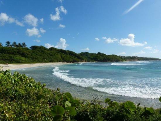 Villa Bungalows Les Vagues Abondes Sainte-Anne  Exterior foto